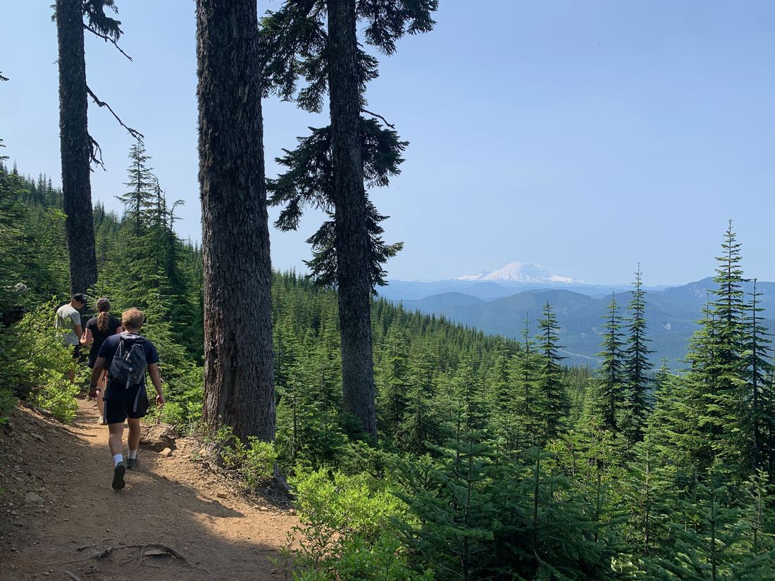 Trail through the woods with a mountain in the distance